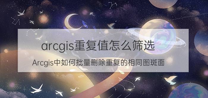 arcgis重复值怎么筛选 Arcgis中如何批量删除重复的相同图斑面？